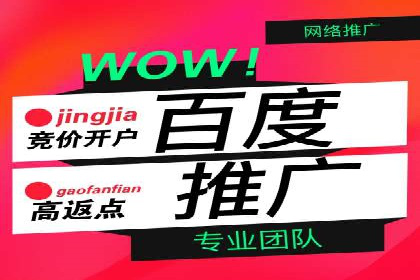 SEM专员如何提升广告投放效果的真实案例